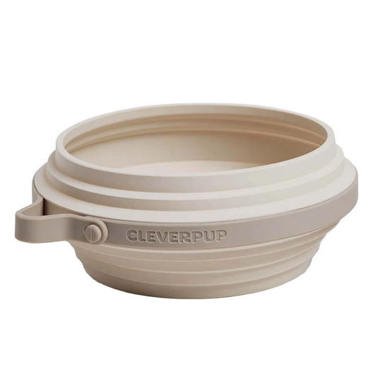 Cleverpup Nomad Collapsible Dog Bowl