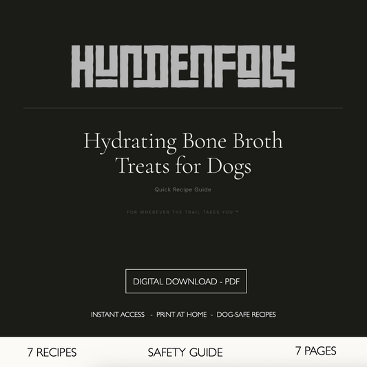 Hydrating Bone Broth Treats for Dogs: Quick Recipe Guide