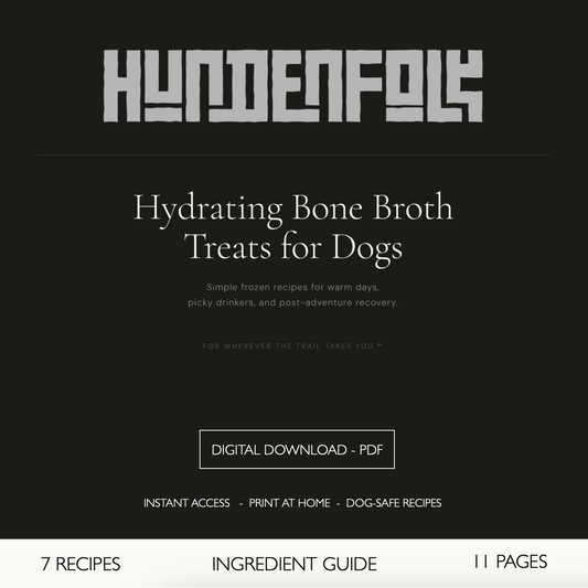 Hydrating Bone Broth Treats for Dogs: Complete Guide
