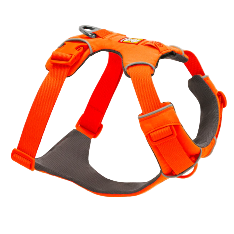 Orange dog harness with reflective stripes on a white background