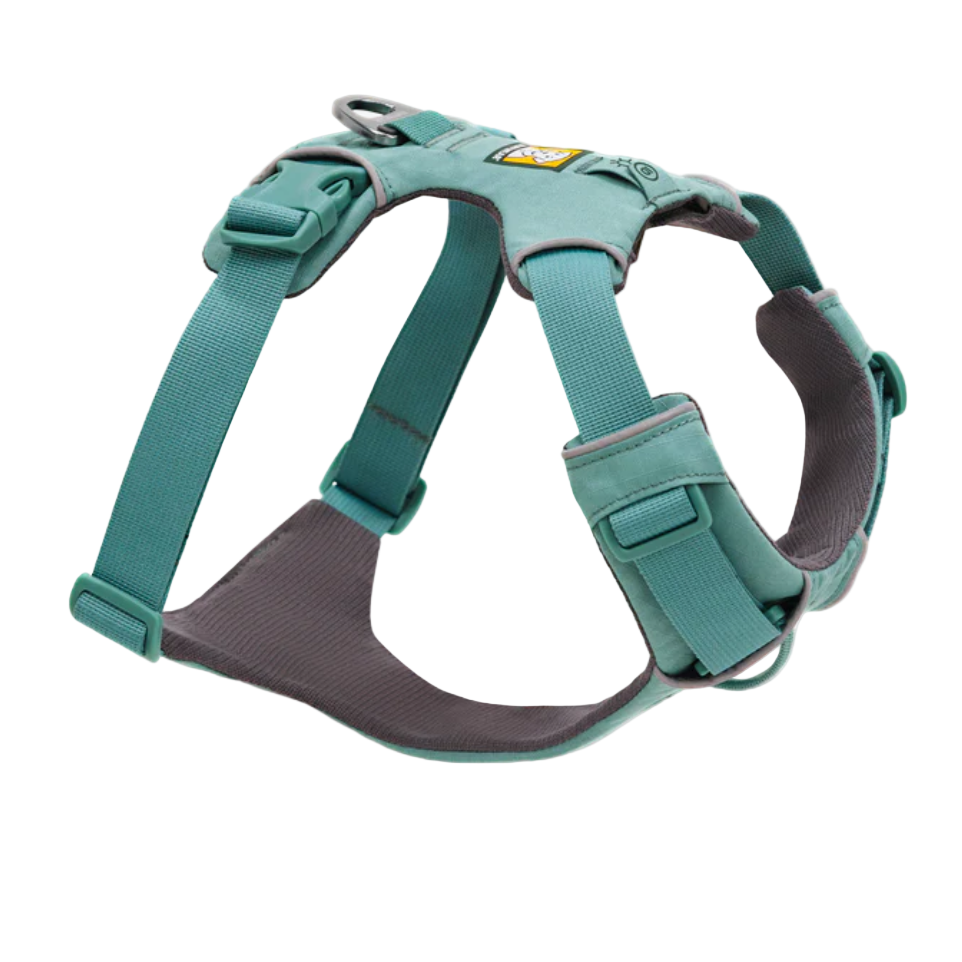 Teal dog harness on a white background