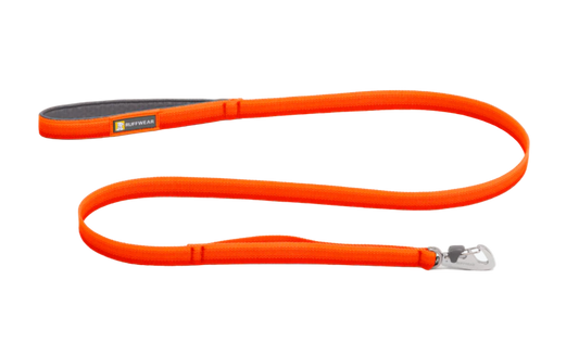 Orange dog leash with a metal clip on a transparent background