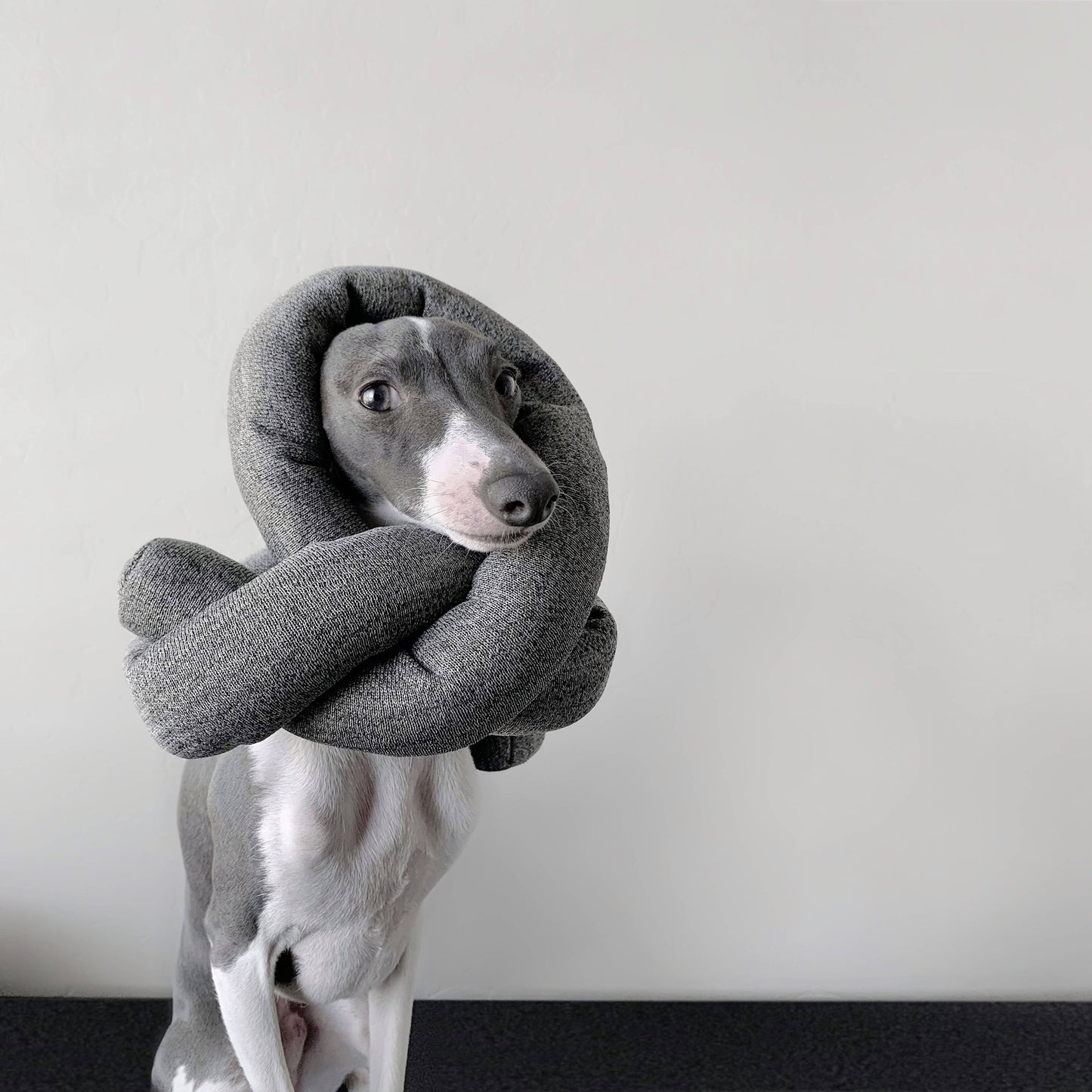 NOU | charcoal with crinkle clusters//ENRICHMENT DOG TOY