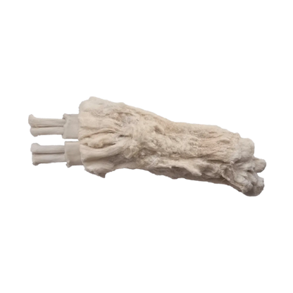 A single freeze-dried beef tendon on a plain white background.