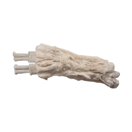 A single freeze-dried beef tendon on a plain white background.