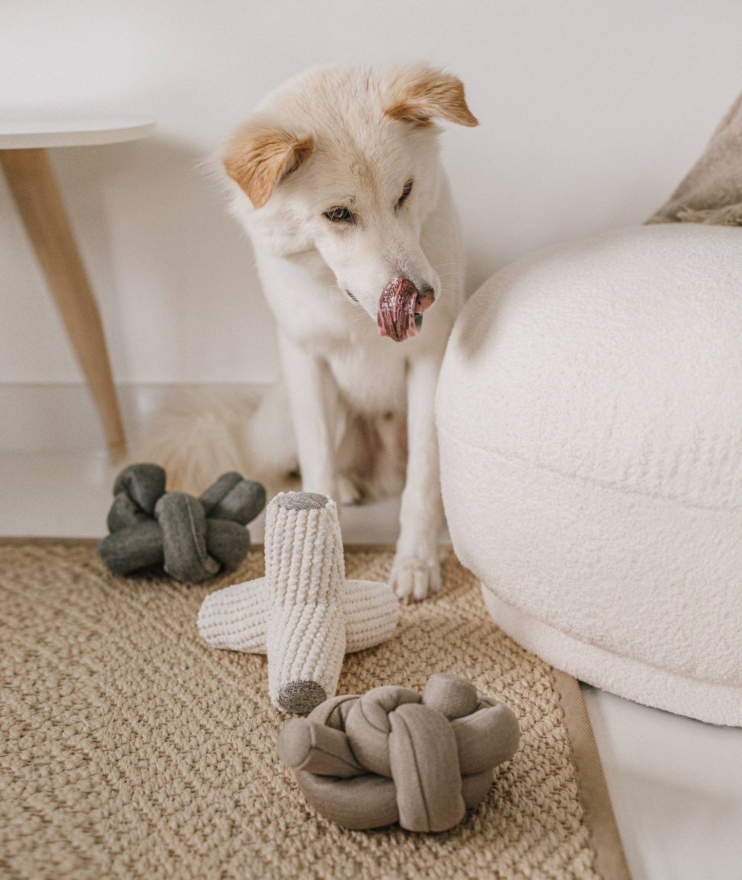 NOU | charcoal with crinkle clusters//ENRICHMENT DOG TOY