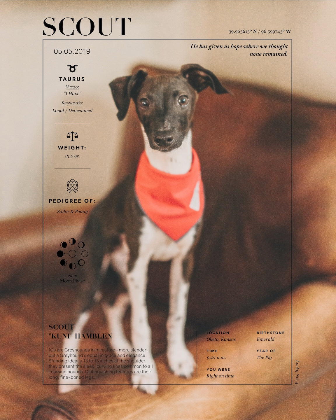 Custom Pet Poster- Digital Download