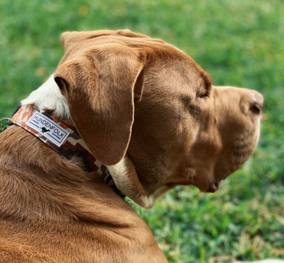 Waxed Canvas Hundenfolk Dog Collar - Southwest Orange